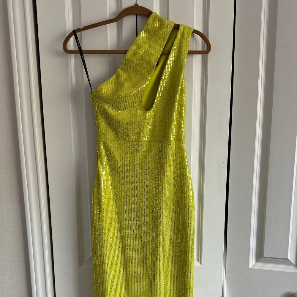 Colleen Reeds Sequin One-Shoulder Maxi Dress